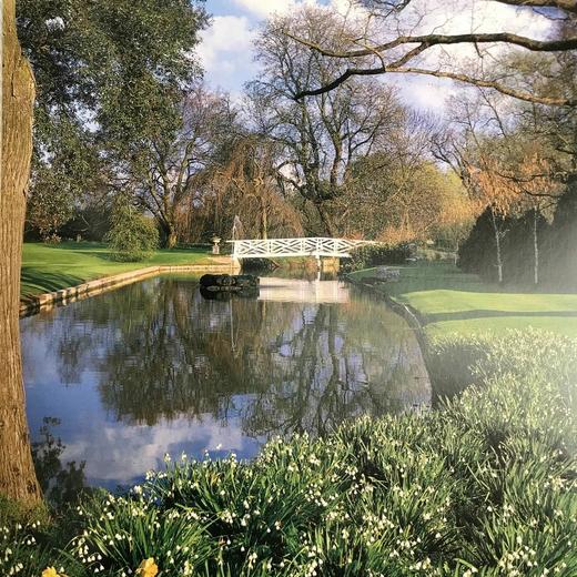 水上花园图集 267幅插图（174幅彩色） 精装16开 商品图9