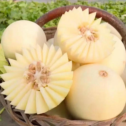 陕西阎良小籽甜瓜汁多瓤沙、脆甜爽口新鲜水果当季小香瓜 商品图2