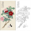 俞致贞花鸟工笔画白描底稿《牡丹双鸽》临摹勾线高清打印稿ZZ81 商品缩略图0