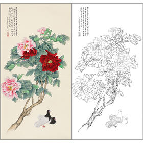 俞致贞花鸟工笔画白描底稿《牡丹双鸽》临摹勾线高清打印稿ZZ81