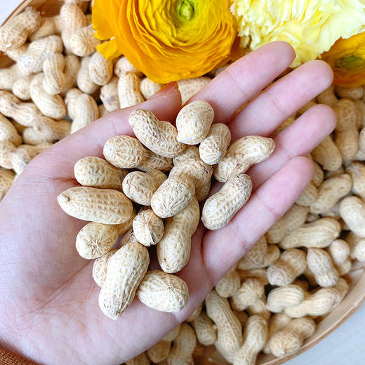 零食陈皮味花生 商品图2