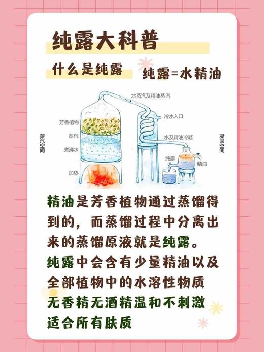 正品保加利亚大马士革玫瑰水纯露男女通用 商品图7