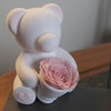 ROSEONLY诺誓 永生玫瑰 公仔系列 苏格熊 捧花版白色 Baby宝贝 送朋友 情人节礼物 商品缩略图8