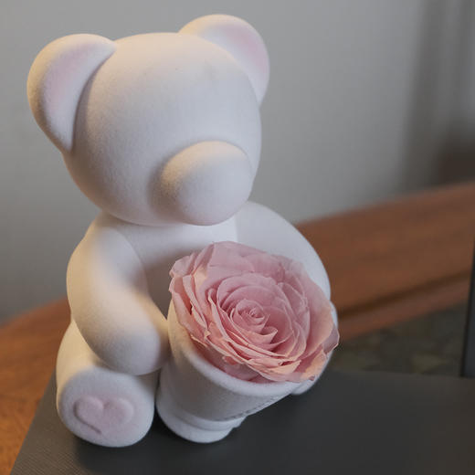 ROSEONLY诺誓 永生玫瑰 公仔系列 苏格熊 捧花版白色 Baby宝贝 送朋友 情人节礼物 商品图8