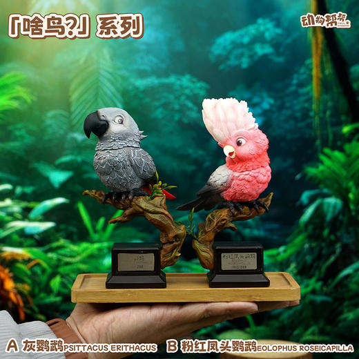 灰鹦鹉&粉红凤头鹦鹉  啥鸟系列④ 模型摆件 鸟类周边潮玩 ★动物帮帮 官方正品【48小时发货】 商品图2