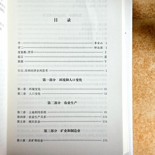 非洲现代经济史 十九世纪 保罗·提杨贝·泽勒扎 非洲历史研究 商品图5