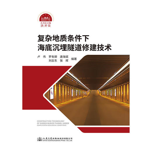 复杂地质条件下海底沉埋隧道修建技术 商品图3