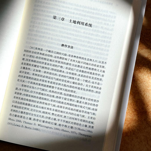 非洲现代经济史 十九世纪 保罗·提杨贝·泽勒扎 非洲历史研究 商品图8