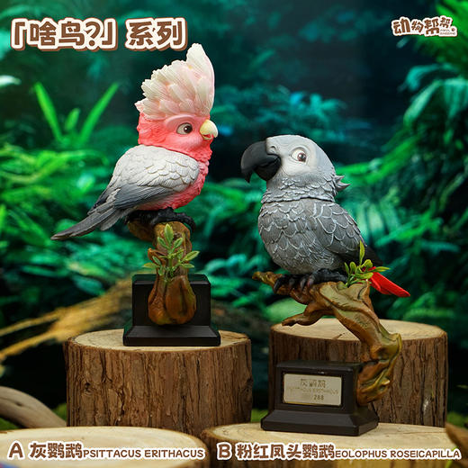 灰鹦鹉&粉红凤头鹦鹉  啥鸟系列④ 模型摆件 鸟类周边潮玩 ★动物帮帮 官方正品【48小时发货】 商品图6