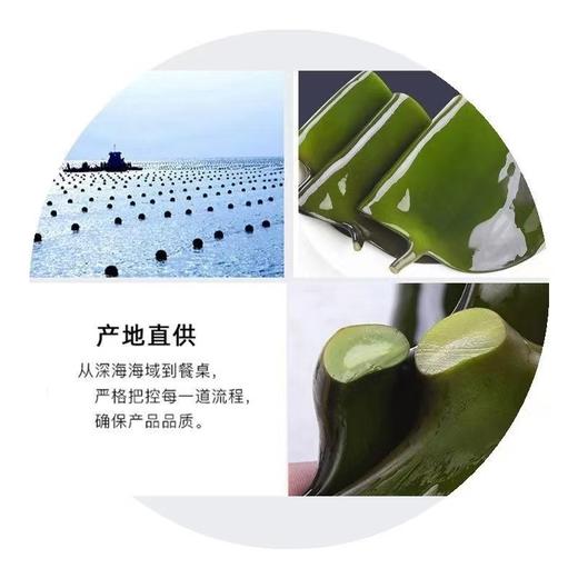 【盐渍整颗大海带】 商品图2