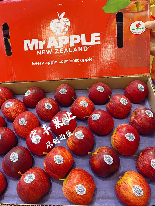 【宏丰精选】新西兰加力果  皇室嘎啦果记忆之果 酸甜适中多汁  活动价15.8元一斤 商品图5