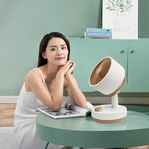 艾美特  台式循环扇  FA15-X167 商品图2
