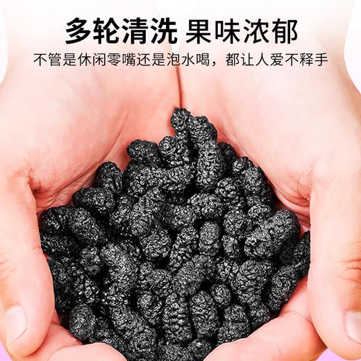 【疆品南下】西圣丨新疆桑葚干 208g/罐 商品图5