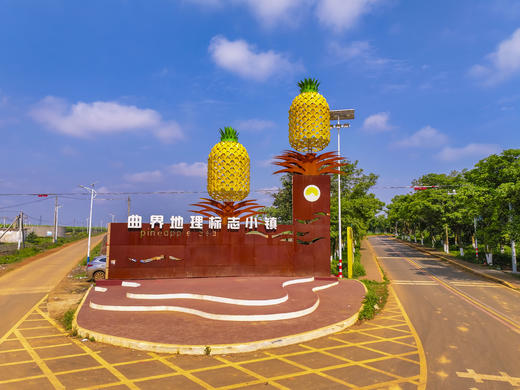 5月25日确定出发雷州半岛5天摄影之旅-追峰虎鸟、盐田光影、剑麻、菠萝的海、南极村 商品图5