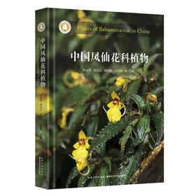 中国凤仙花科植物