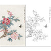 俞致贞花鸟工笔画白描底稿《牡丹蝴蝶》临摹勾线高清打印稿ZZ87 商品缩略图0