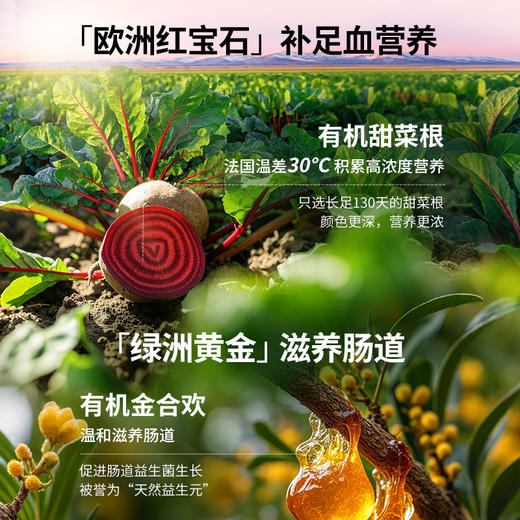 芬兰甜菜根粉女性营养品  200g/袋 A-4880  （效期27-12） 商品图5