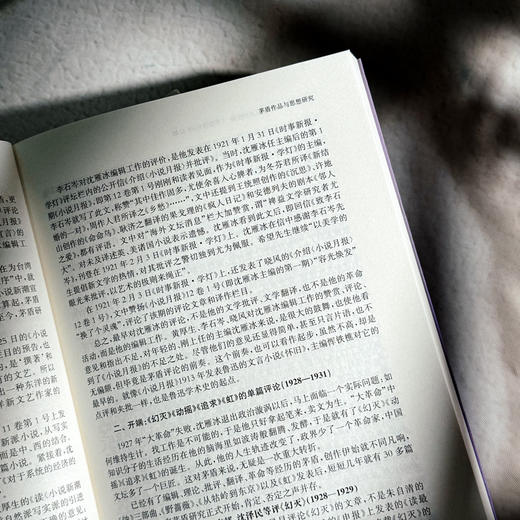 史料与阐释 茅盾研究的新探索 《茅盾研究》第22辑 中国茅盾研究会 商品图8