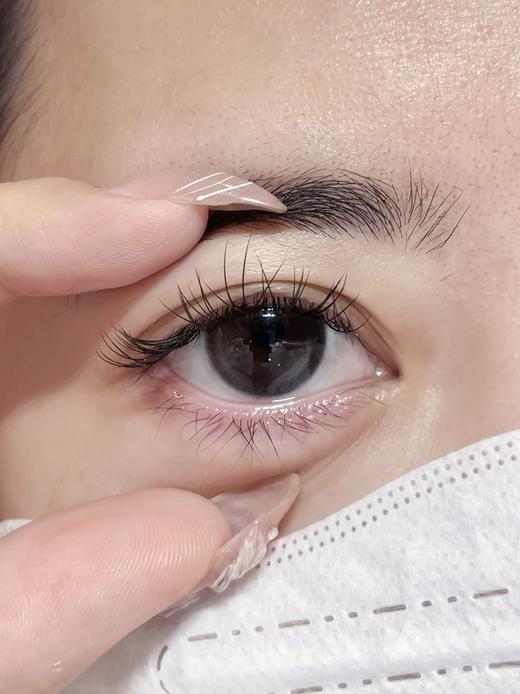 Sondercon品牌-小黑茶Plus 商品图12