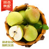 京鲜生 新疆库尔勒香梨 净重10斤装 一级 单果100g+ 生鲜水果 商品缩略图4