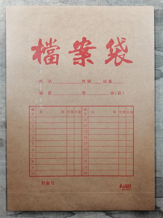 档案袋210g 商品图2
