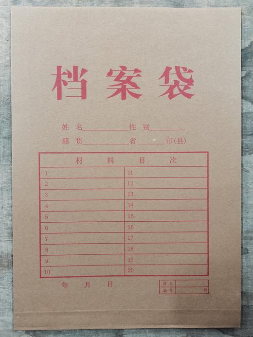 档案袋250g 商品图2