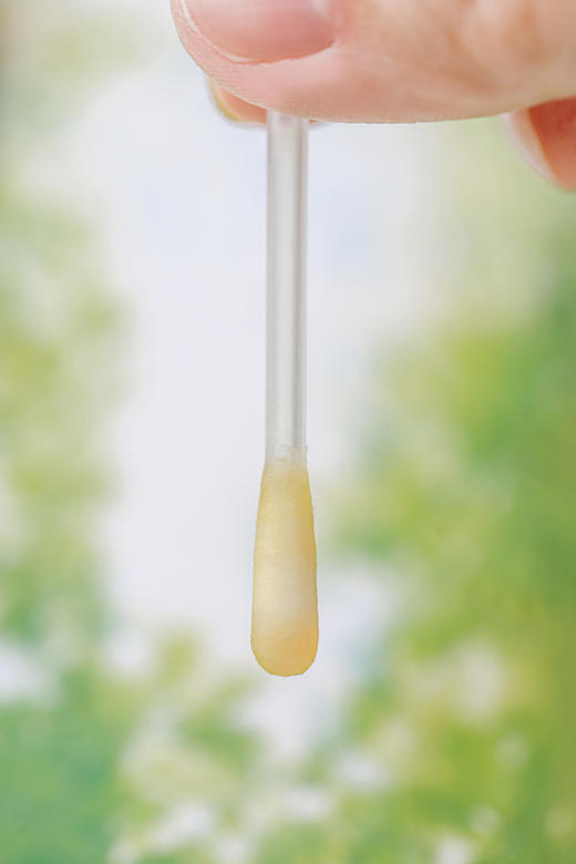 【米马团购】食味的初相苍耳子油鼻舒液24支*1盒/3盒/6盒 商品图4