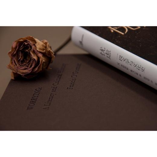 新民说·忧虑：一段文学与文化史（忧虑者的自查手册，“时代疾病”的文化指南） 商品图9