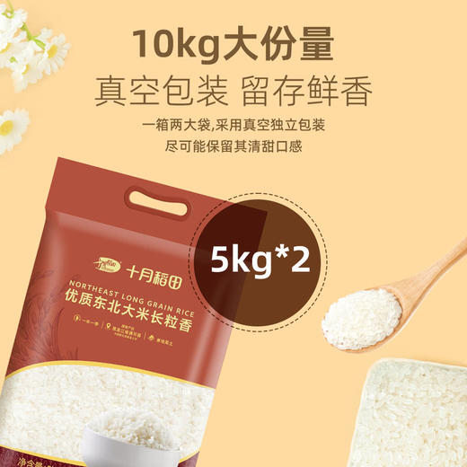MM 山姆 十月稻田 优质东北大米长粒香 5kg*2 商品图1