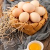湖北襄阳保康县山水韵鸡蛋30枚/箱 商品缩略图2