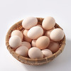 广东湛江廉心初生鸡蛋30枚/装 商品缩略图4