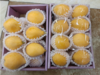 活动枇杷一斤 商品缩略图1