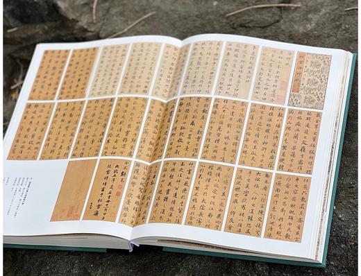 《书画本同 赵孟頫书画题跋集萃》，16开，精装，段奇编著，三联书店2025年4月一版一印，440页，定价398，售价298元。 商品图5