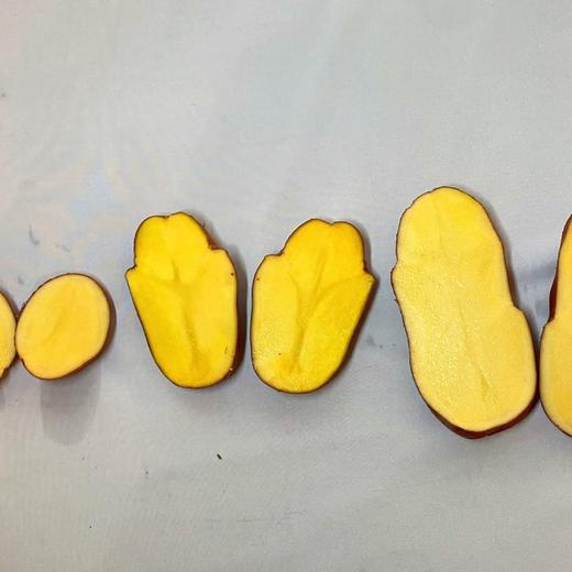 【云南红皮土豆】 商品图2