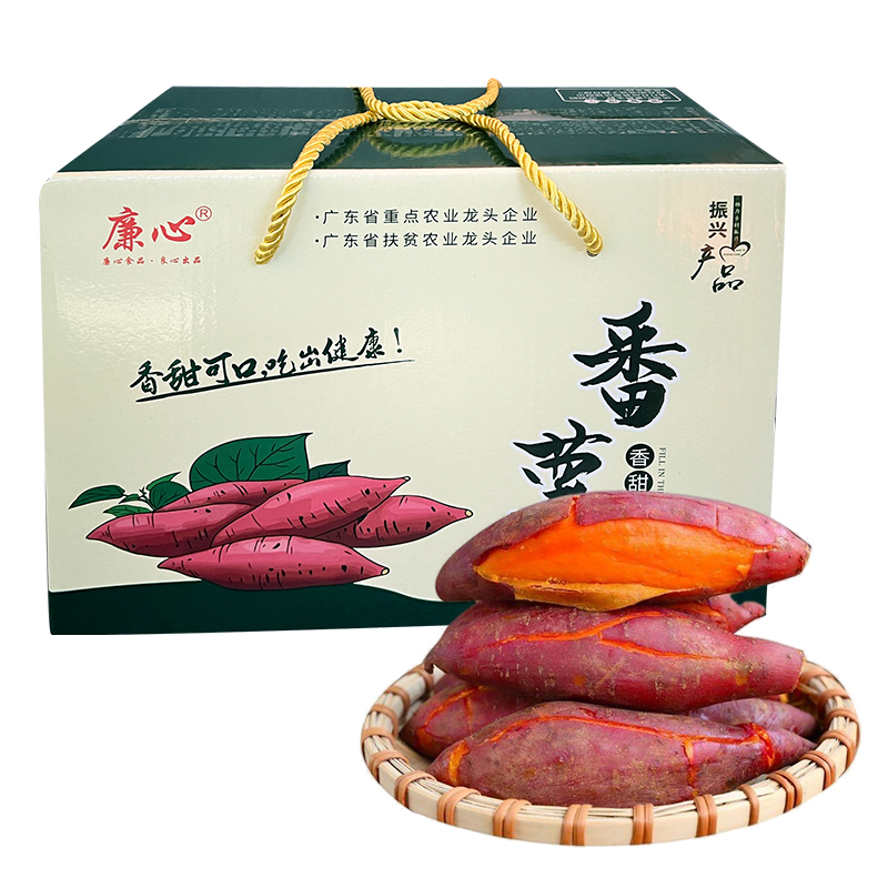 广东湛江廉心牌番薯5斤/礼盒箱