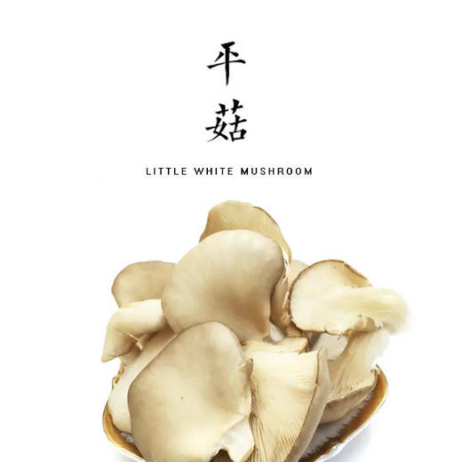 小平菇 300g 商品图0