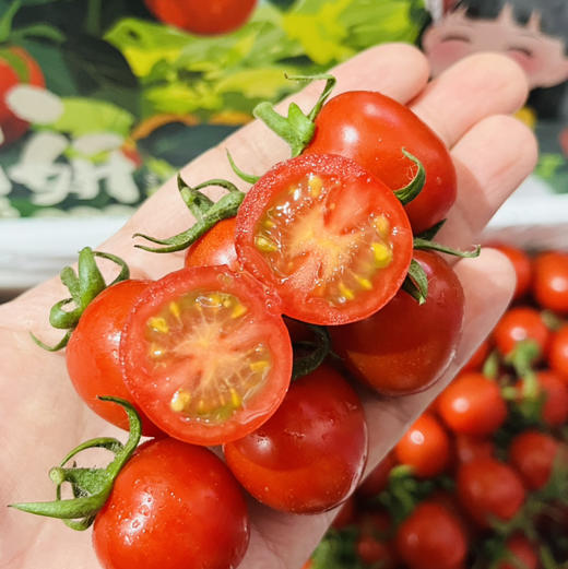 釜山88小番茄一盒约2斤礼盒装 减肥必备，补充维生素 果味浓郁【顺带不发快递】 商品图2