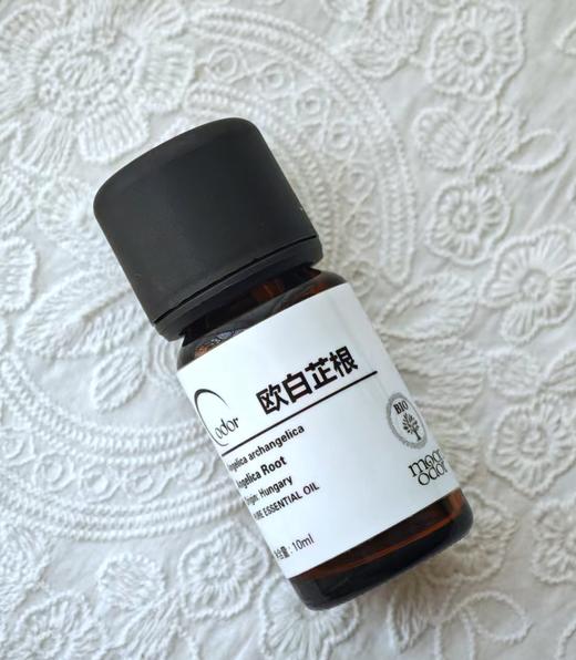 有机欧白芷根精油  【香气042】 商品图1