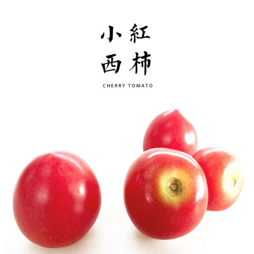 小西红柿 500g（红色） 商品图0