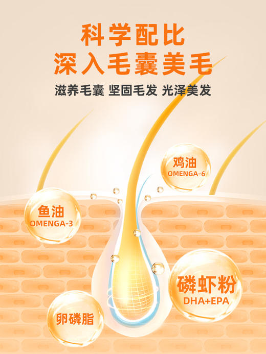 【65元任选2件】普安特卵磷脂猫宠物掉毛爆毛护毛猫咪美毛专用浓缩鱼油猫用软磷脂 商品图3