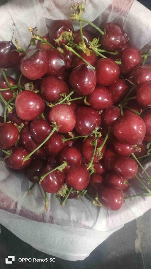 丞起萨米脱二级果大樱桃 商品图0