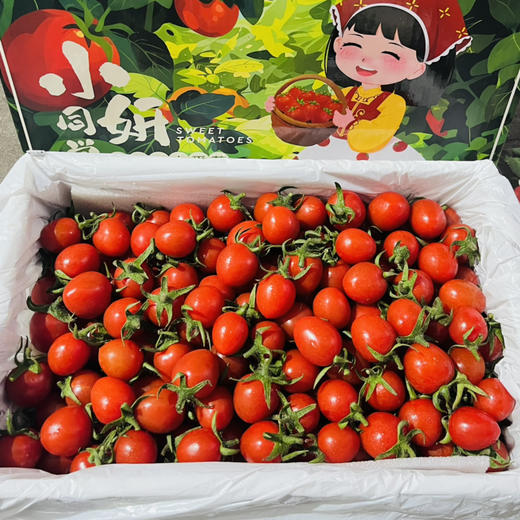 釜山88小番茄一盒约2斤礼盒装 减肥必备，补充维生素 果味浓郁【顺带不发快递】 商品图0