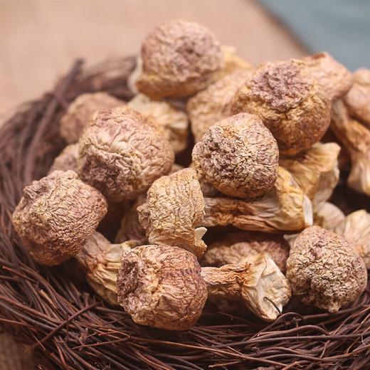 云南菌菇礼盒 精选7种山珍 过节送礼  走亲访友  伴手礼佳品（白松茸40g，蛹虫草65g，鹿茸菇55g，鸡油菌35g，雪山松茸片55g，姬松茸70g，羊肚菌30g） 商品图4