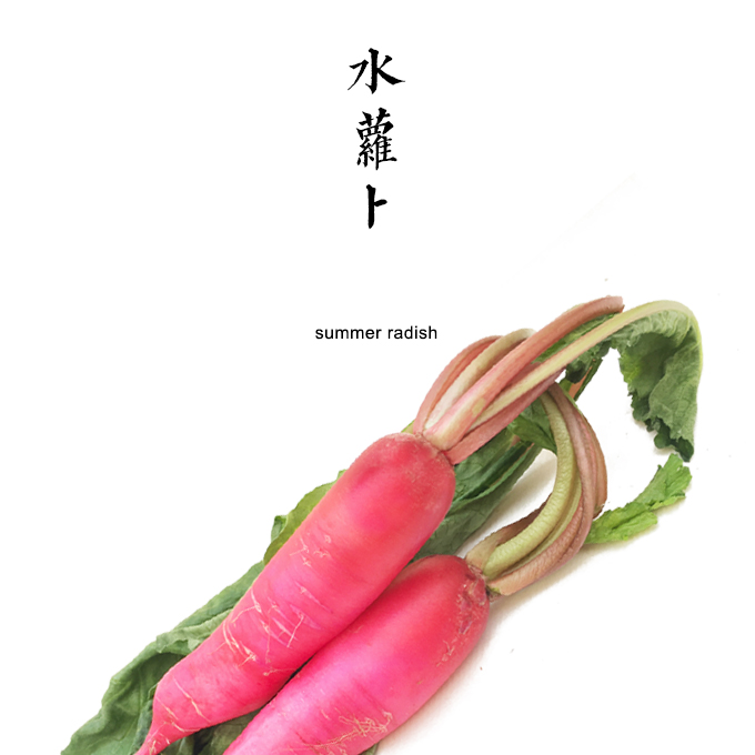水萝卜 500g