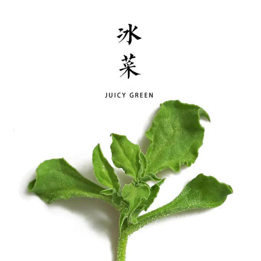 冰菜  250g 商品图0