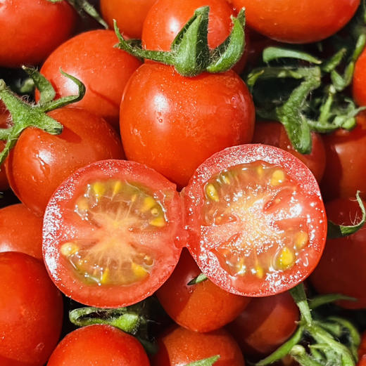 釜山88小番茄一盒约2斤礼盒装 减肥必备，补充维生素 果味浓郁【顺带不发快递】 商品图7