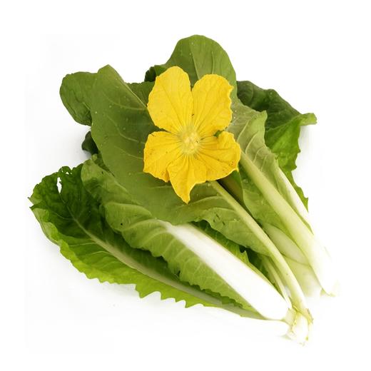 脆白菜 300g 商品图1