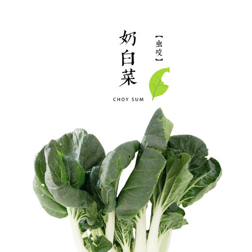 奶白菜 300g 商品图0