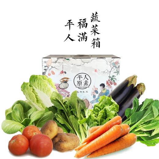 平人农场福满蔬菜箱 7斤包邮 商品图0