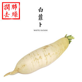 白萝卜  750g